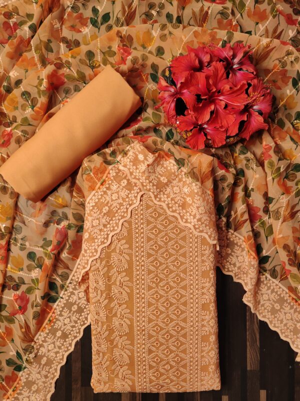 Suit (Chikankari Georgette) Orange PNDM500100ORGR