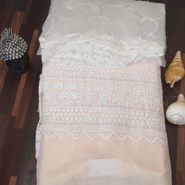 Suit (Georgette Chikankari) Peach PNDM505000PHGR - Image 2