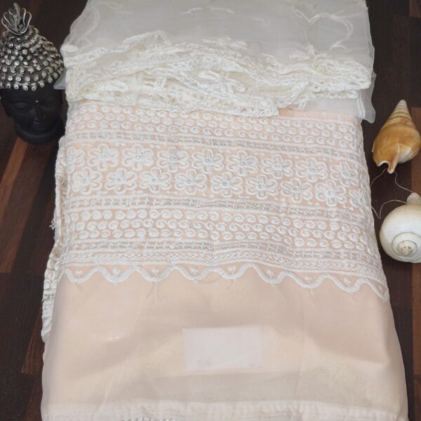 Suit (Georgette Chikankari) Peach PNDM505000PHGR - Image 4