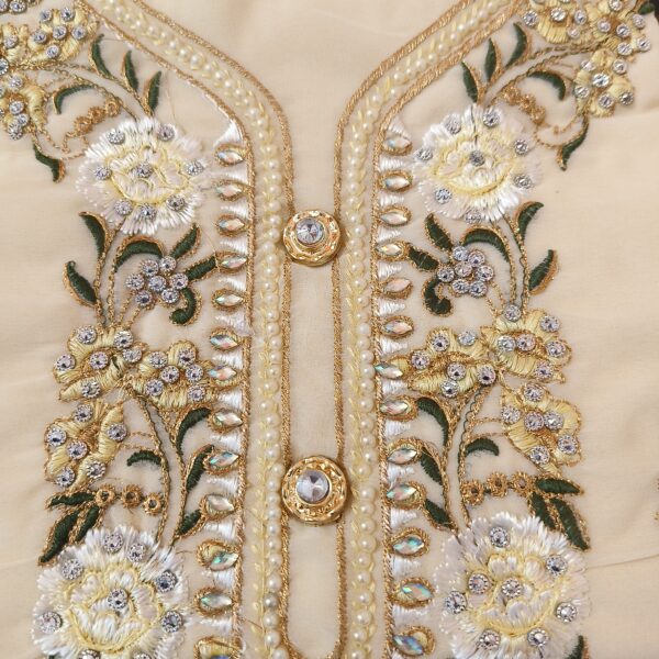 Suit (Georgette fancy) Beige PNDM507000BRGR - Image 5
