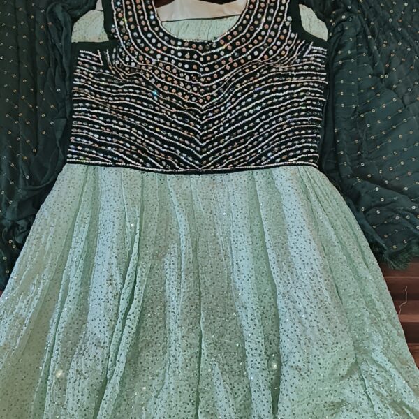 Lehenga Green PMLH356400DGGR - Image 2